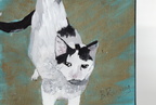 Pet Memorials